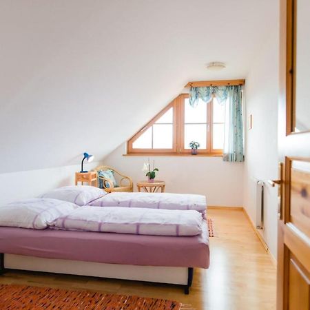 Ferienwohnung Stiegelbauer Fichte Sausal Экстерьер фото